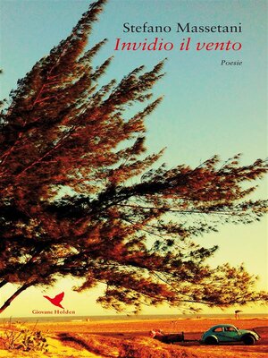 cover image of Invidio il vento